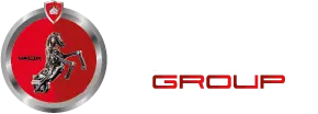 logo vaox group-04